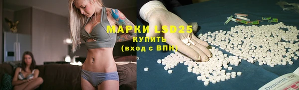ПСИЛОЦИБИНОВЫЕ ГРИБЫ Белоозёрский