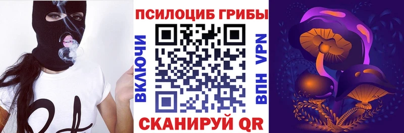 Галлюциногенные грибы Cubensis  где купить наркоту  Козельск 